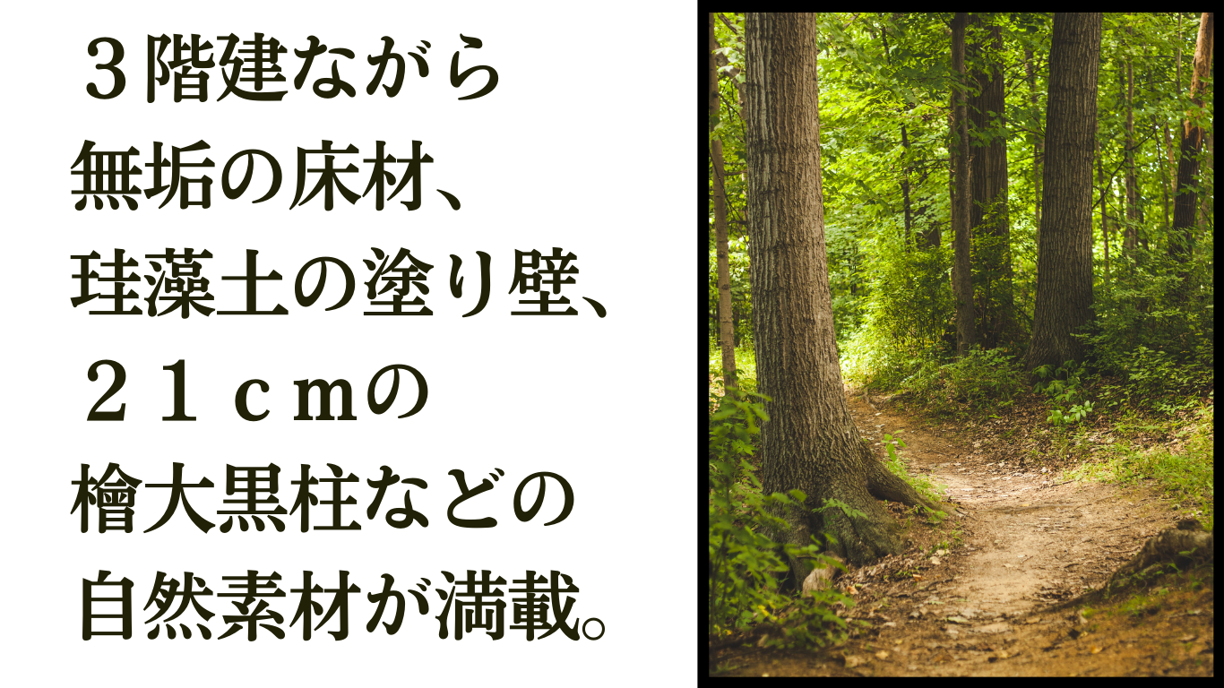モデルハウス4.png