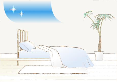 抜群の収納力と最短家事動線の平屋